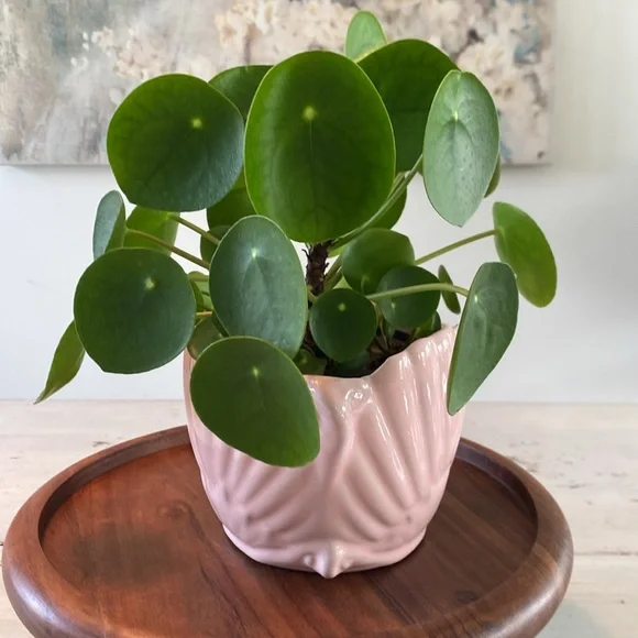 Vintage Ron Gordon Designs Pink Ceramic Art Deco Planter - Picture 2 of 9